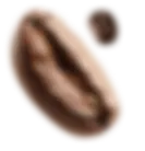 Зерно кави